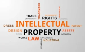 major areas of intellectual property