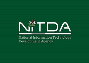 functions of NITDA