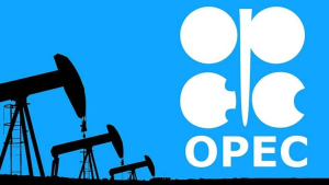 functions OPEC