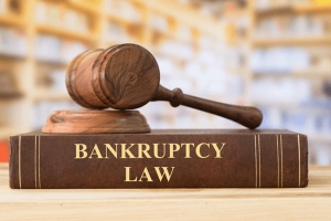 Bankruptcy and Insolvency Law