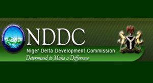 functions of Niger Delta Development Commission