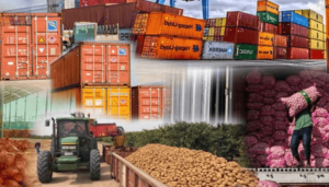 Exporting agricultural products from Nigeria