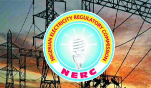 functions of Nigerian Electricity Regulatory Commission